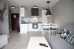 Apartament Scandic